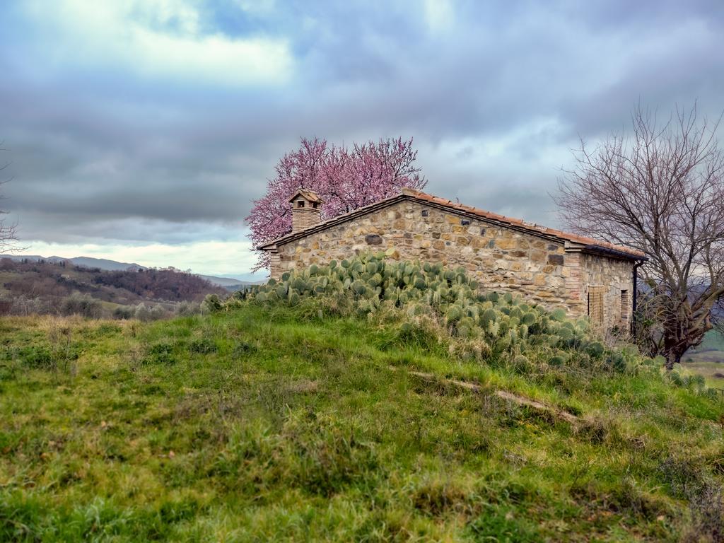 Agriturismo Le Canterie Radicondoli Ngoại thất bức ảnh