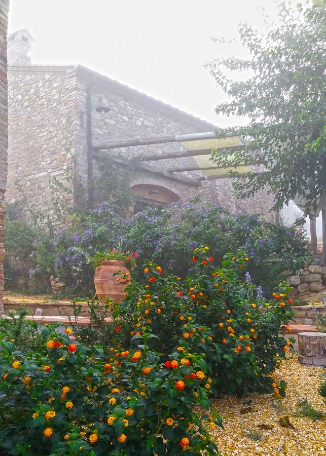 Agriturismo Le Canterie Radicondoli Ngoại thất bức ảnh