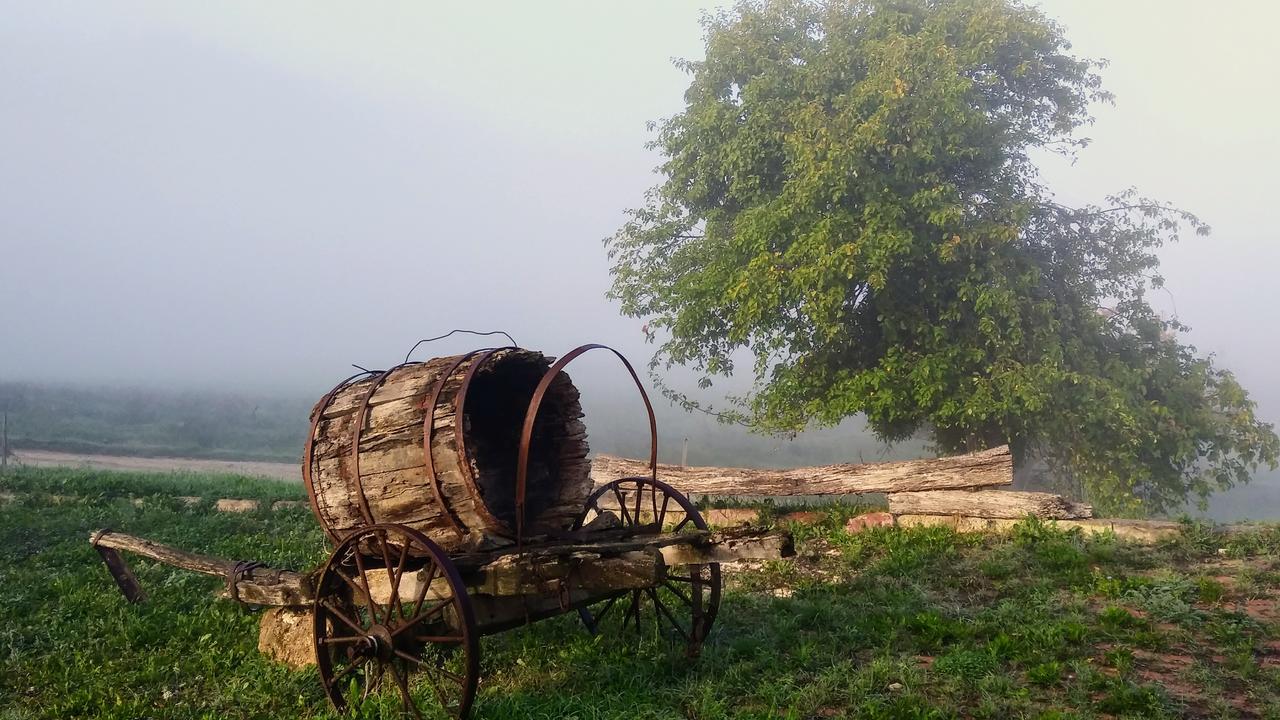 Agriturismo Le Canterie Radicondoli Ngoại thất bức ảnh