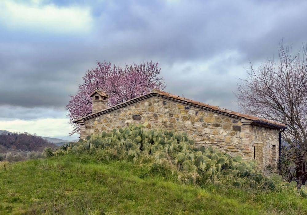 Agriturismo Le Canterie Radicondoli Ngoại thất bức ảnh